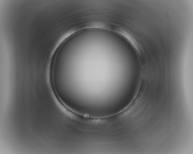 X0000112151139200908141209