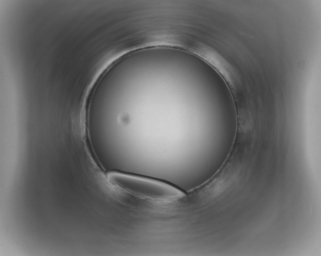 X0000112151140200908141209