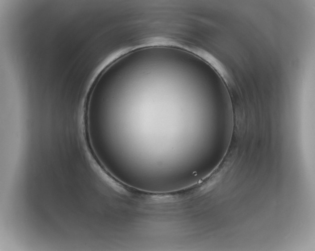 X0000112151142200908141209