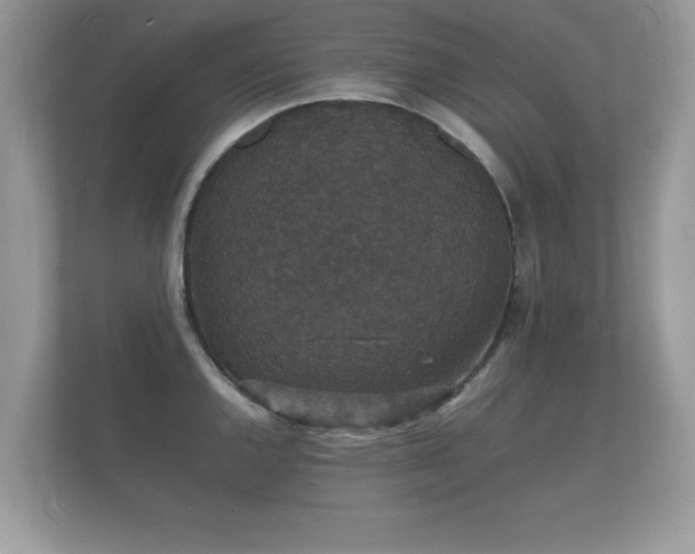 X0000112151144200908141209