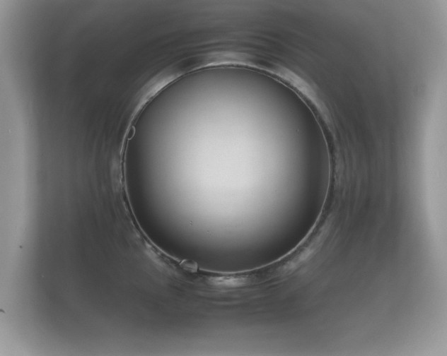 X0000112151145200908141209