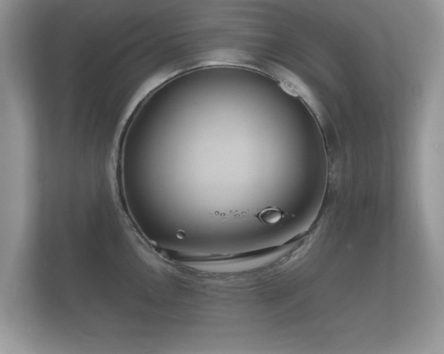 X0000112151146200908141209