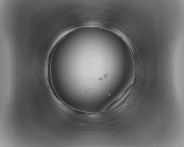 X0000112151147200908141209