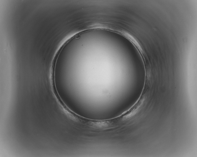 X0000112151149200908141209