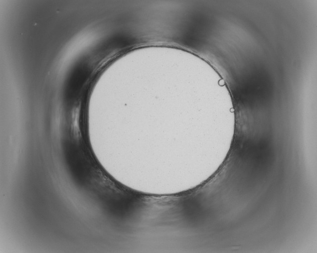 X0000112151150200908141209