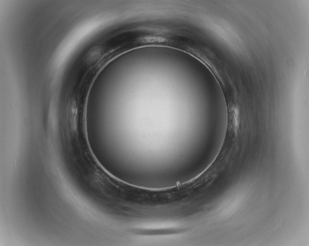 X0000112151151200908141209