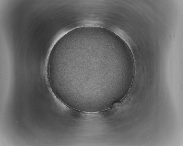 X0000112151152200908141209
