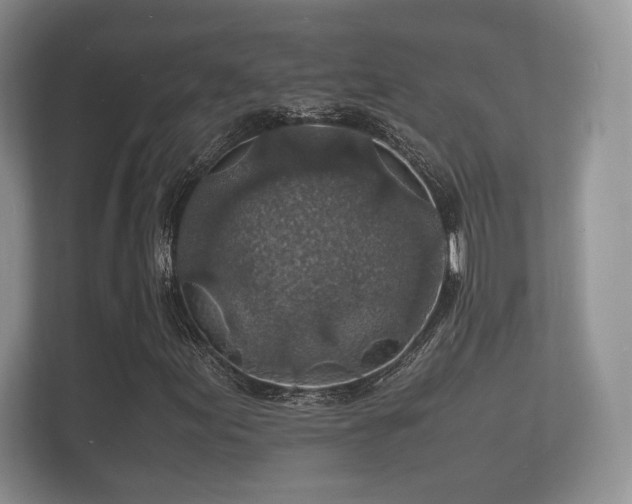 X0000112151155200908141209