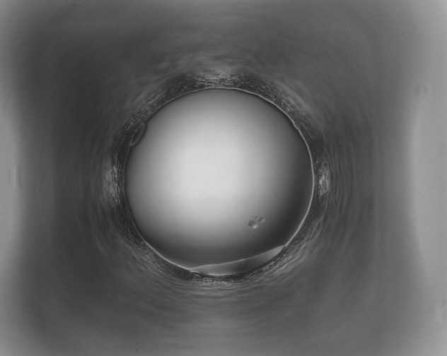 X0000112151156200908141209