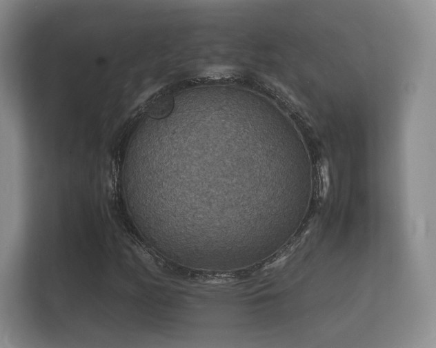 X0000112151158200908141209