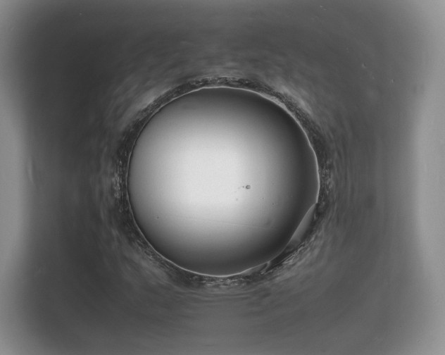 X0000112151159200908141209