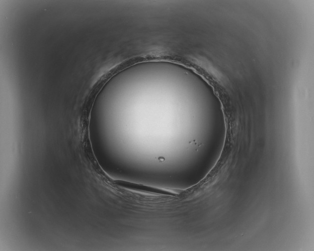 X0000112151160200908141209