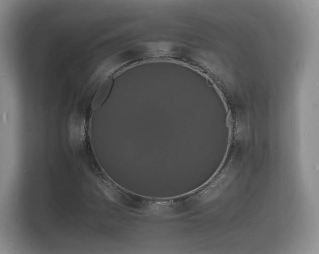 X0000112151161200908141209