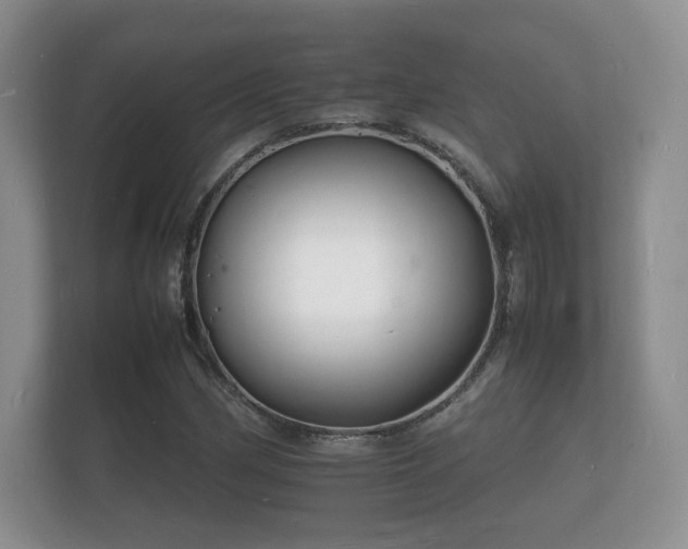 X0000112151162200908141209
