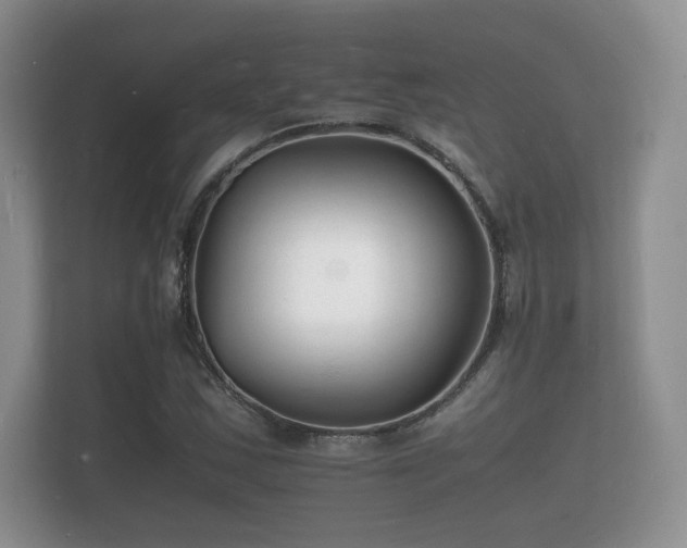 X0000112151163200908141209