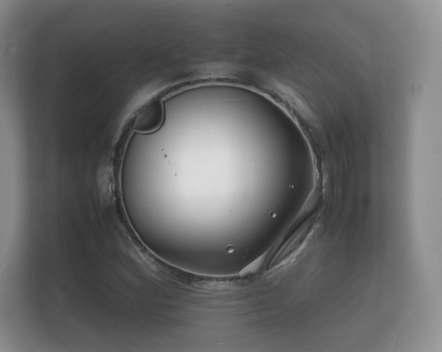 X0000112151164200908141209