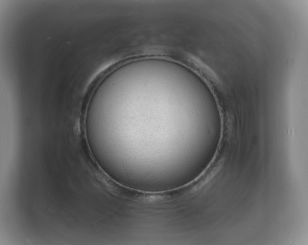 X0000112151166200908141209