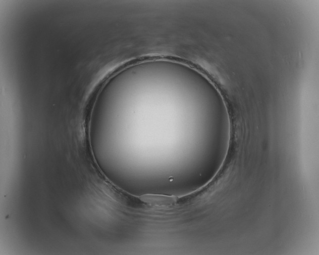 X0000112151167200908141209