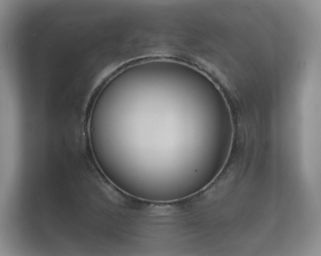 X0000112151168200908141209