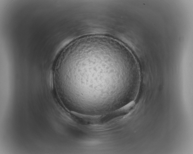 X0000112151171200908141208