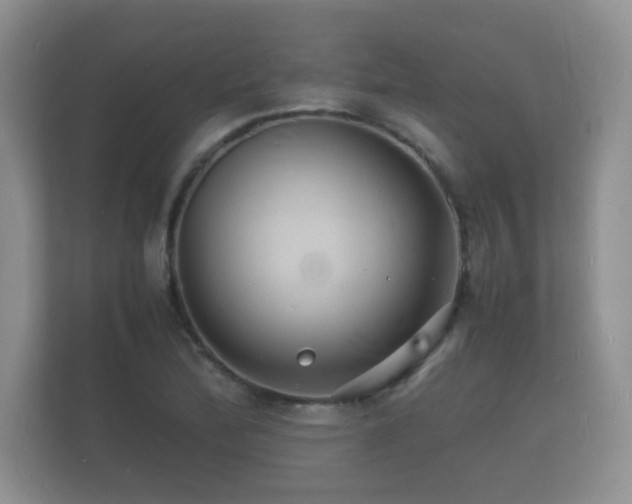 X0000112151172200908141208