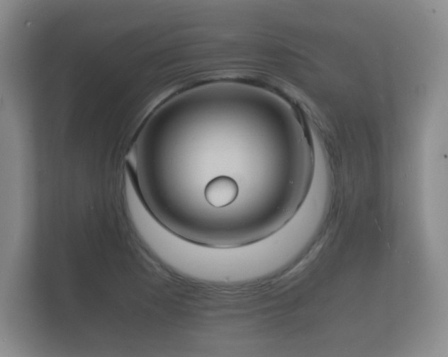 X0000112151177200908141208