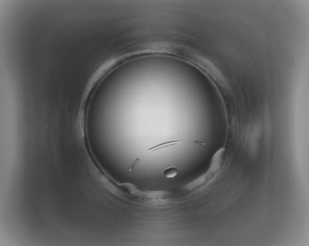 X0000112151180200908141208