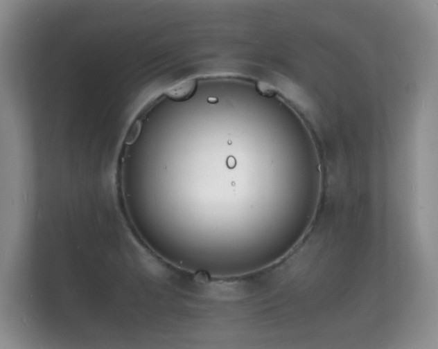 X0000112151181200908141208