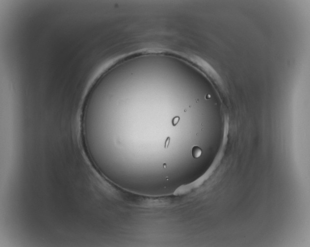 X0000112151183200908141208