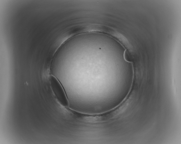 X0000112151185200908141208