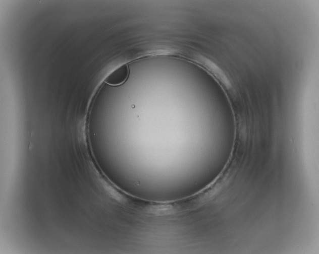 X0000112151186200908141208