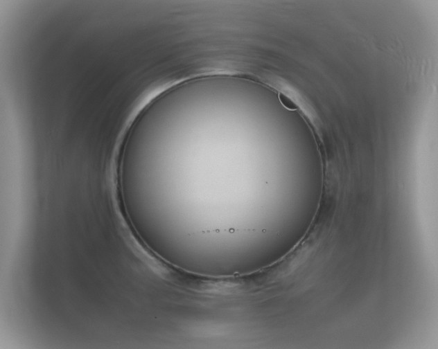 X0000112151187200908141208