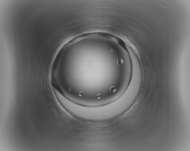 X0000112151189200908141208