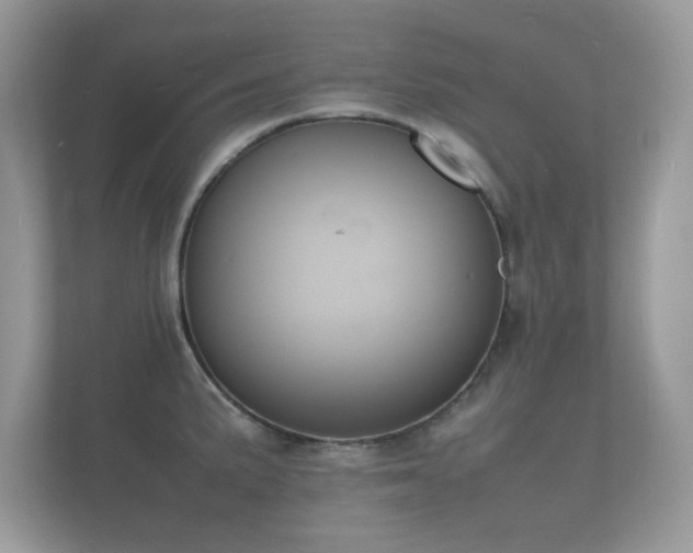 X0000112151191200908141208