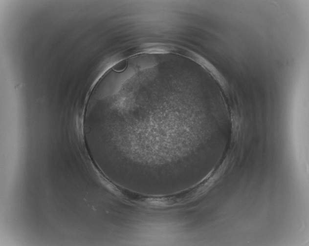 X0000112151194200908141208