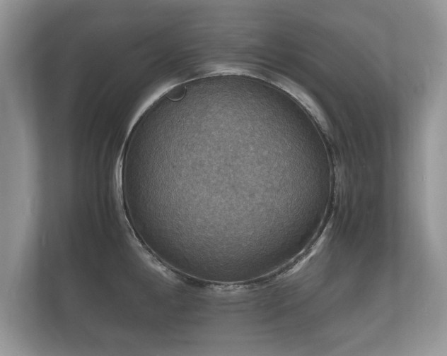 X0000112151198200908141208