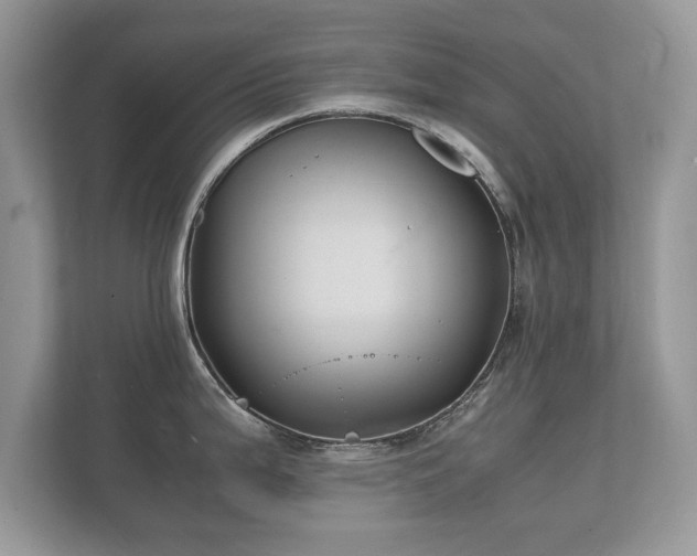 X0000112151199200908141208