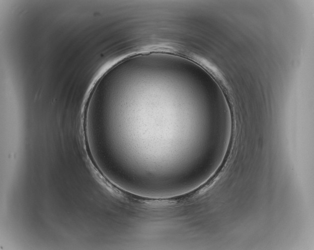 X0000112151200200908141208