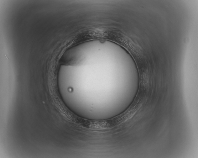 X0000112151201200908141207
