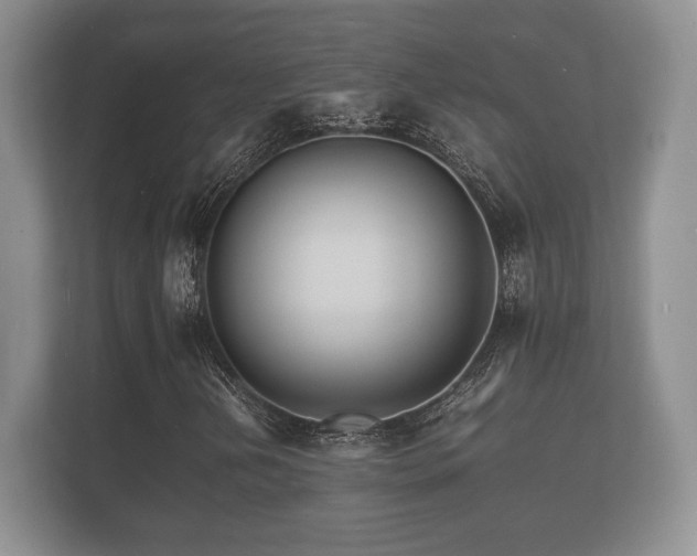X0000112151202200908141207