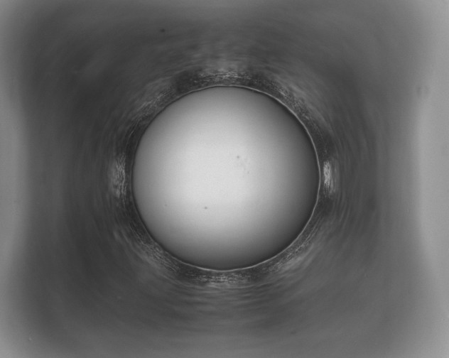 X0000112151203200908141207
