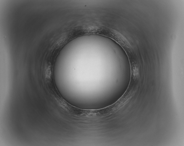 X0000112151204200908141208
