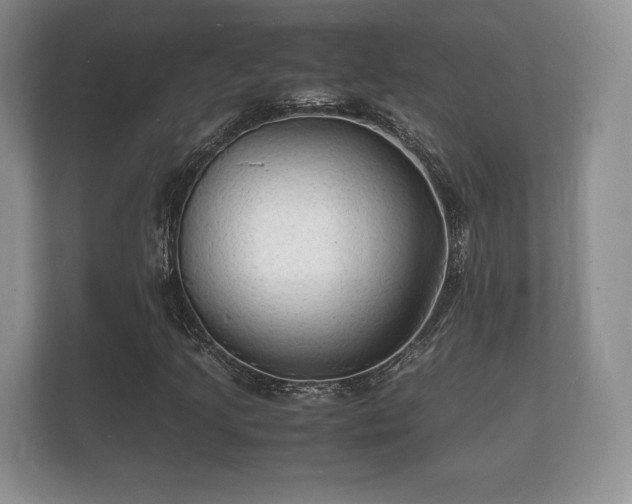 X0000112151205200908141208