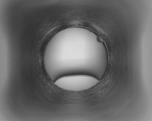 X0000112151206200908141208