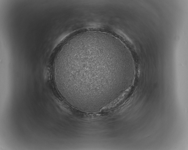 X0000112151208200908141208