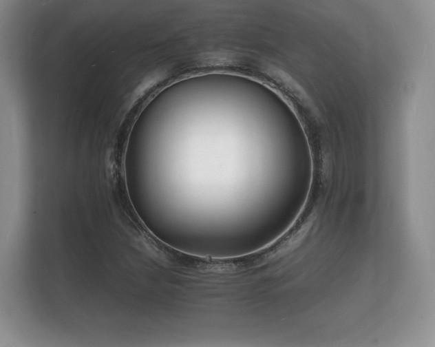 X0000112151210200908141208