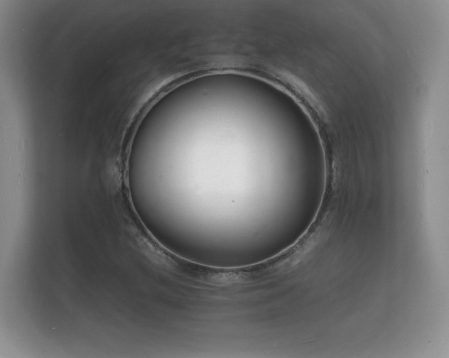 X0000112151212200908141208