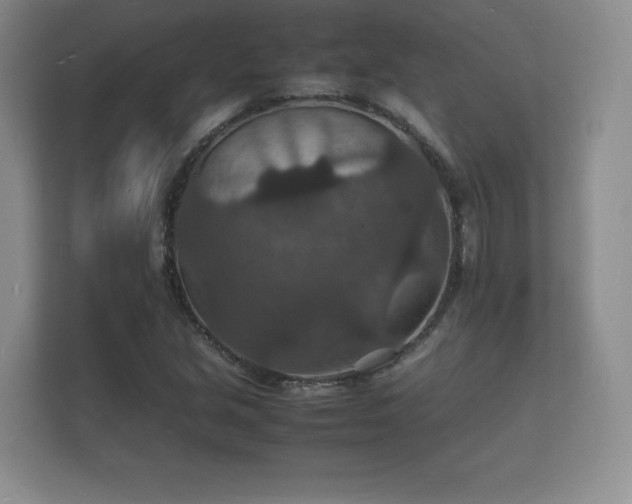 X0000112151213200908141208