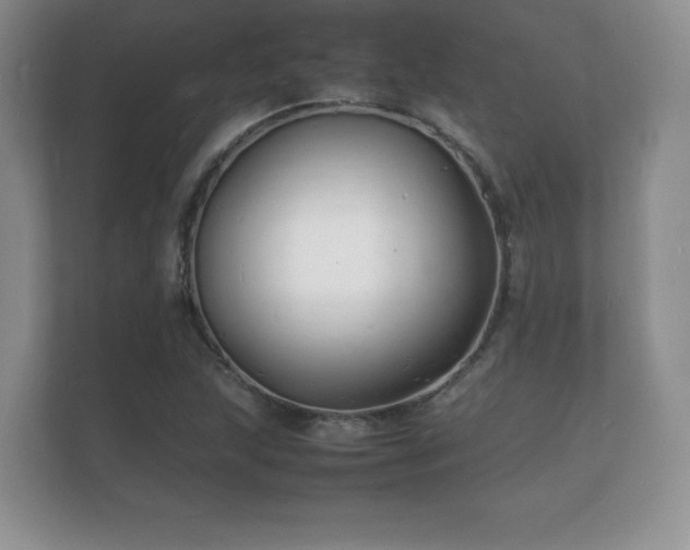 X0000112151215200908141208
