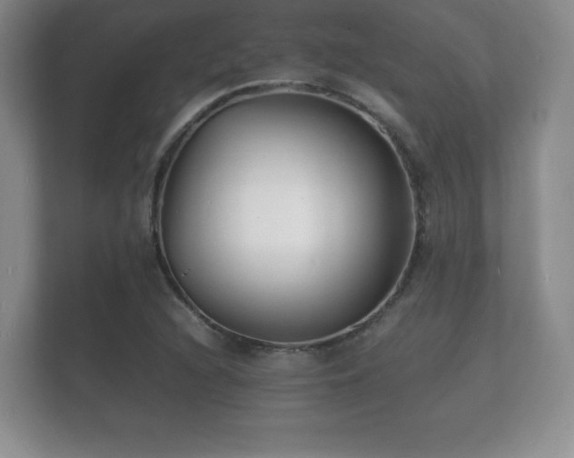 X0000112151216200908141208